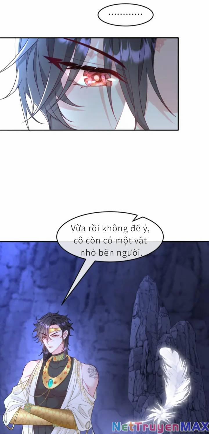 Trở Thành Đoàn Sủng Về Sau, Ta Đại Sát Tứ Phương 4 trang 21