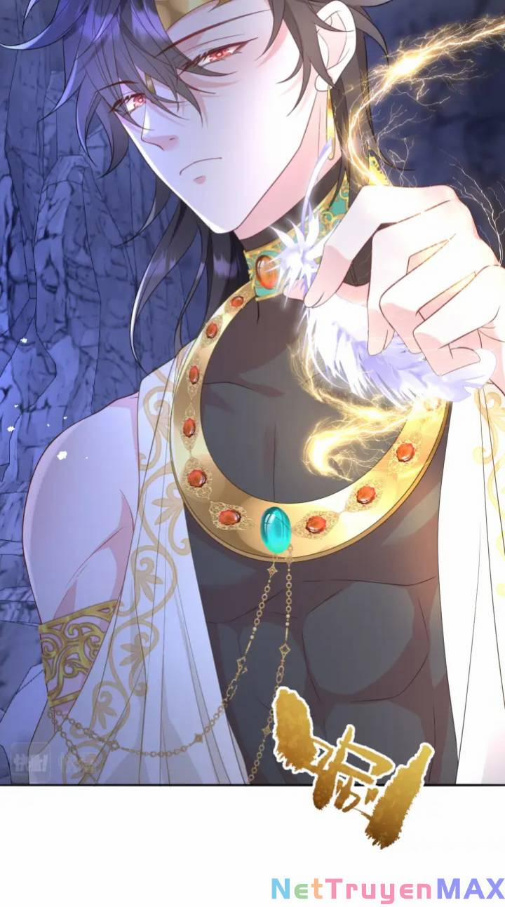 Trở Thành Đoàn Sủng Về Sau, Ta Đại Sát Tứ Phương 4 trang 25