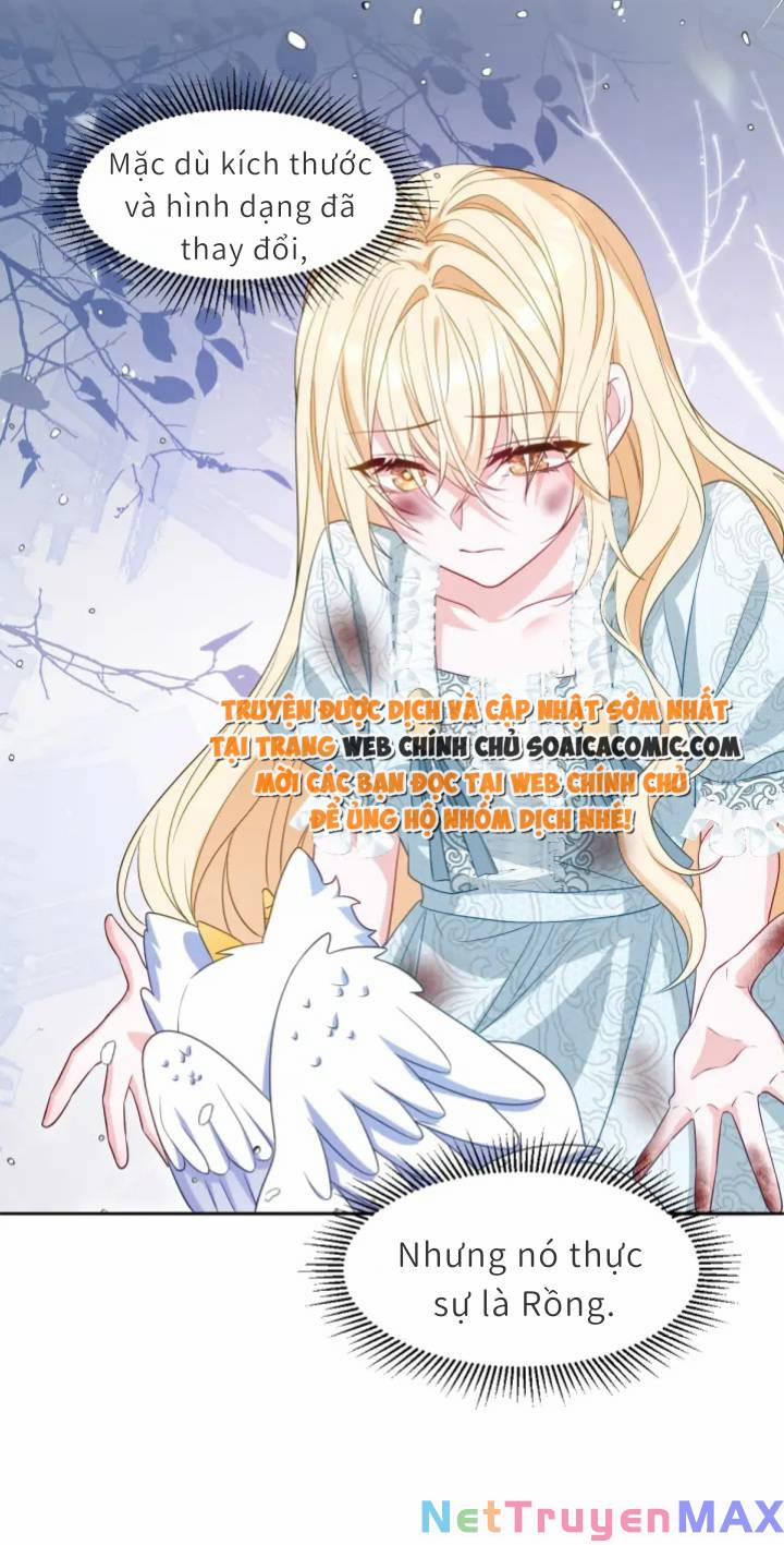 Trở Thành Đoàn Sủng Về Sau, Ta Đại Sát Tứ Phương 4 trang 40