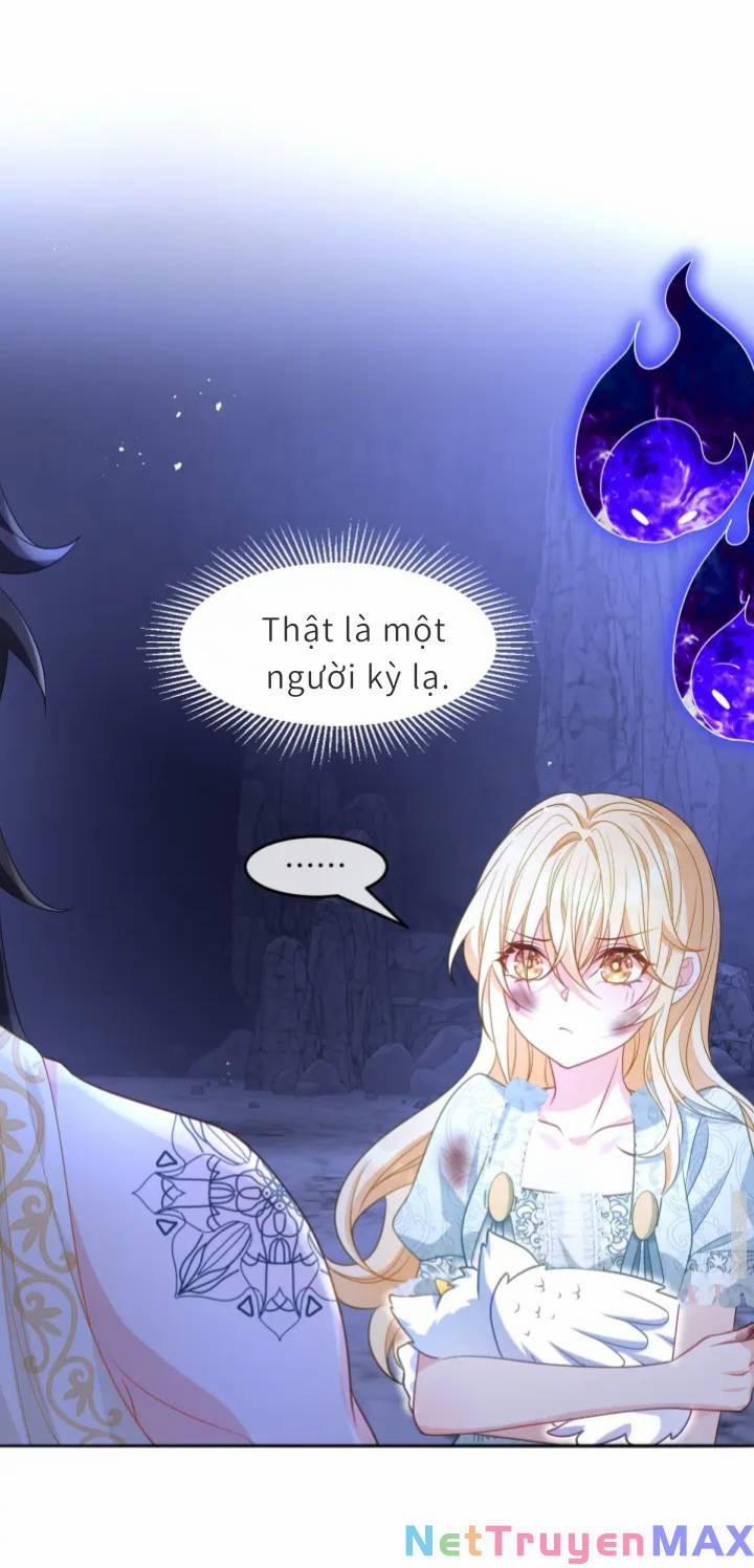 Trở Thành Đoàn Sủng Về Sau, Ta Đại Sát Tứ Phương 4 trang 52