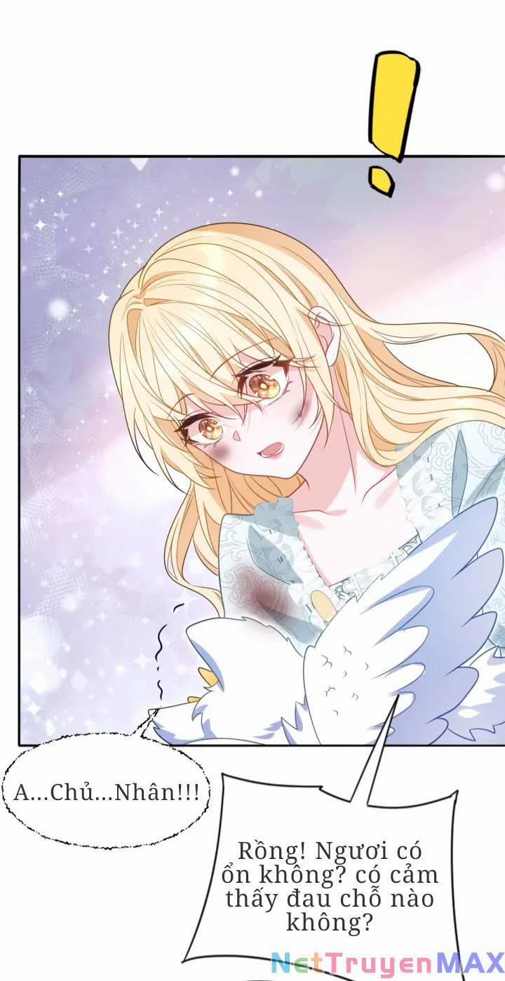 Trở Thành Đoàn Sủng Về Sau, Ta Đại Sát Tứ Phương 5 trang 1