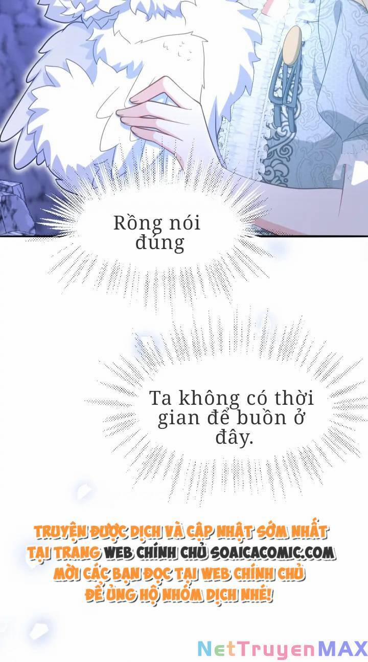 Trở Thành Đoàn Sủng Về Sau, Ta Đại Sát Tứ Phương 5 trang 14