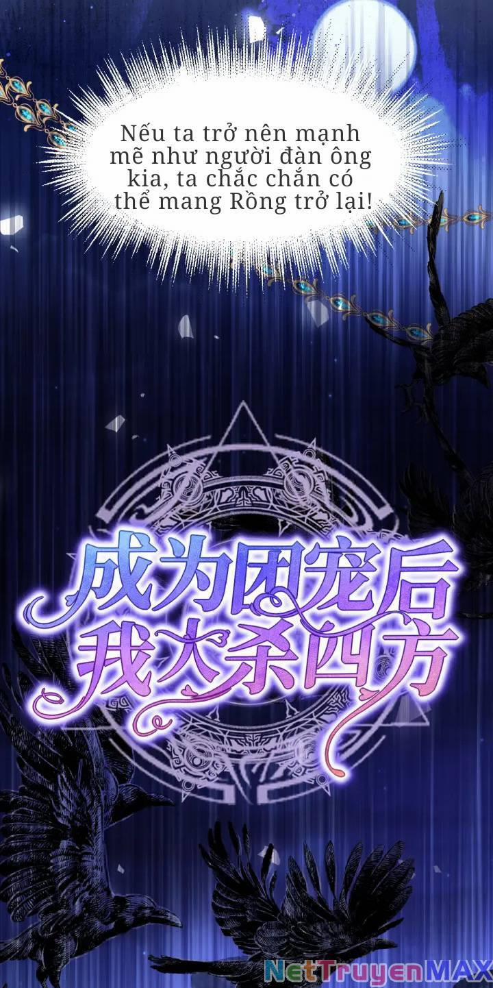 Trở Thành Đoàn Sủng Về Sau, Ta Đại Sát Tứ Phương 5 trang 16