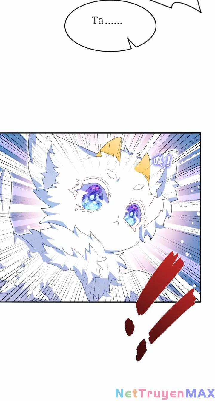 Trở Thành Đoàn Sủng Về Sau, Ta Đại Sát Tứ Phương 5 trang 2