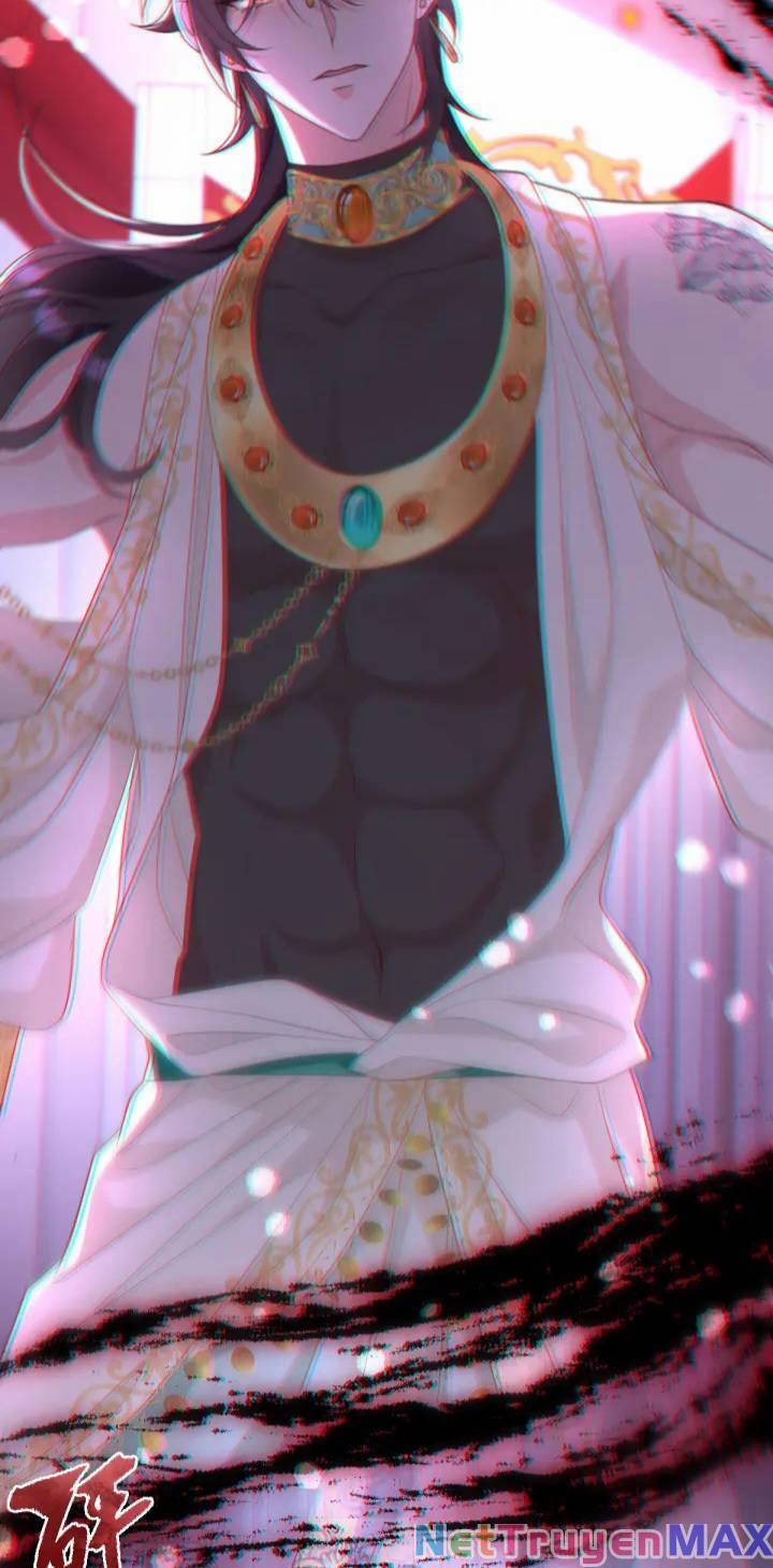 Trở Thành Đoàn Sủng Về Sau, Ta Đại Sát Tứ Phương 5 trang 30