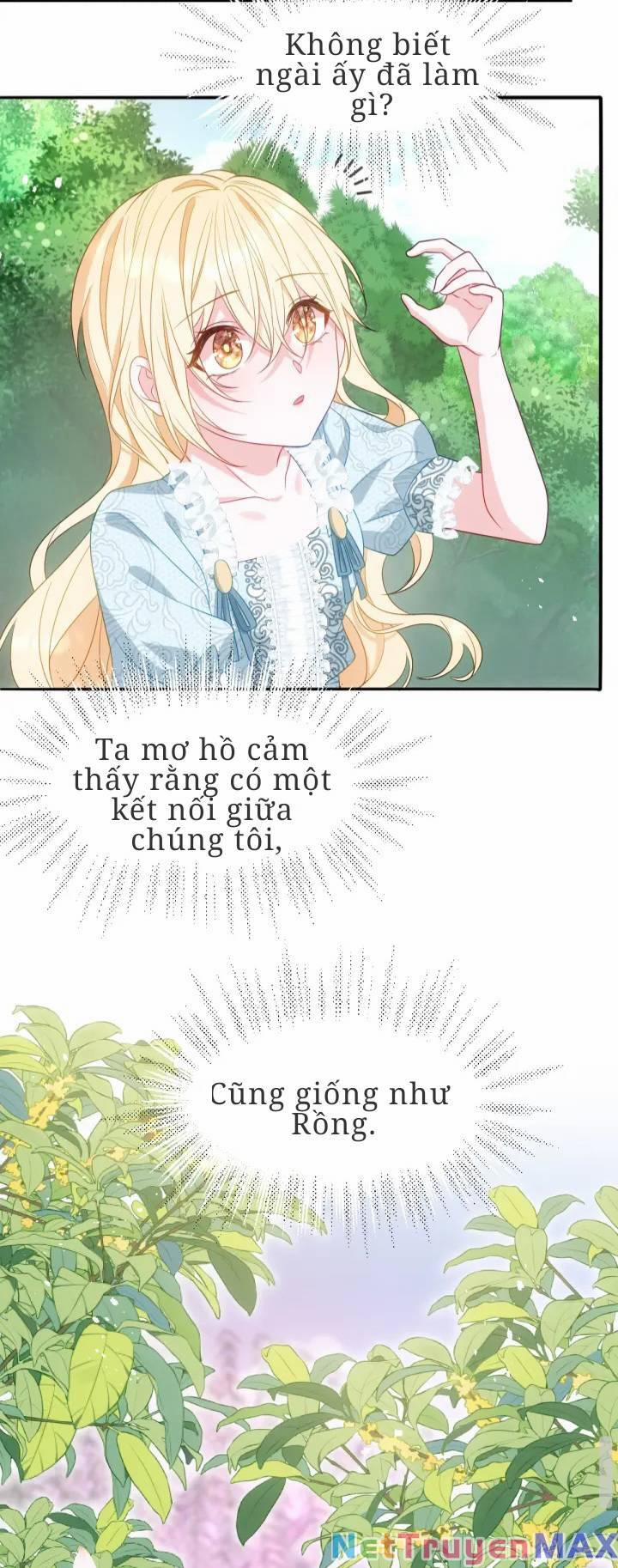 Trở Thành Đoàn Sủng Về Sau, Ta Đại Sát Tứ Phương 5 trang 49