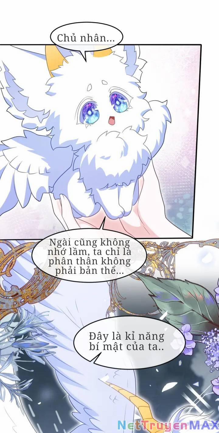 Trở Thành Đoàn Sủng Về Sau, Ta Đại Sát Tứ Phương 5 trang 8