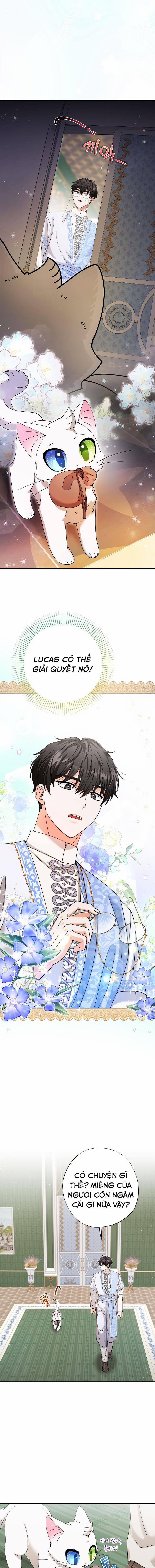 Trở Thành Miêu Nữ Của Hoàng Đế 11 trang 8