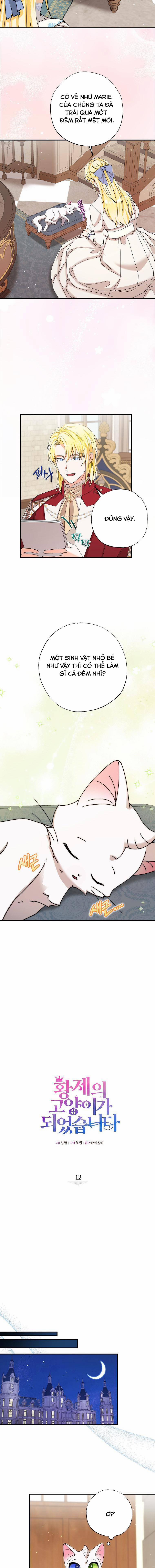 Trở Thành Miêu Nữ Của Hoàng Đế 12 trang 4