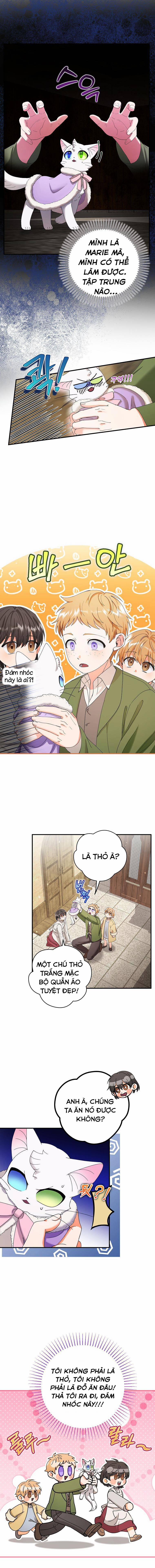 Trở Thành Miêu Nữ Của Hoàng Đế 15 trang 2