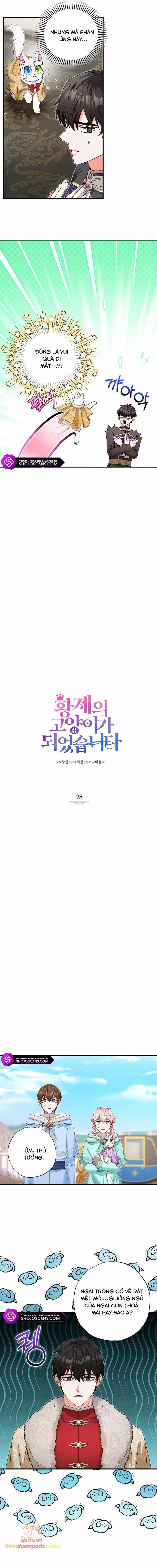 Trở Thành Miêu Nữ Của Hoàng Đế 28 trang 5