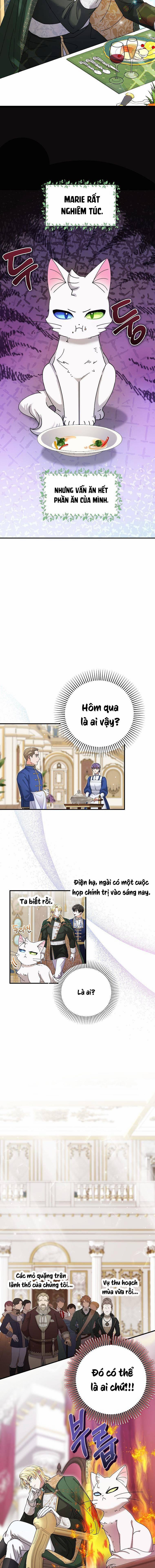 Trở Thành Miêu Nữ Của Hoàng Đế 6 trang 8