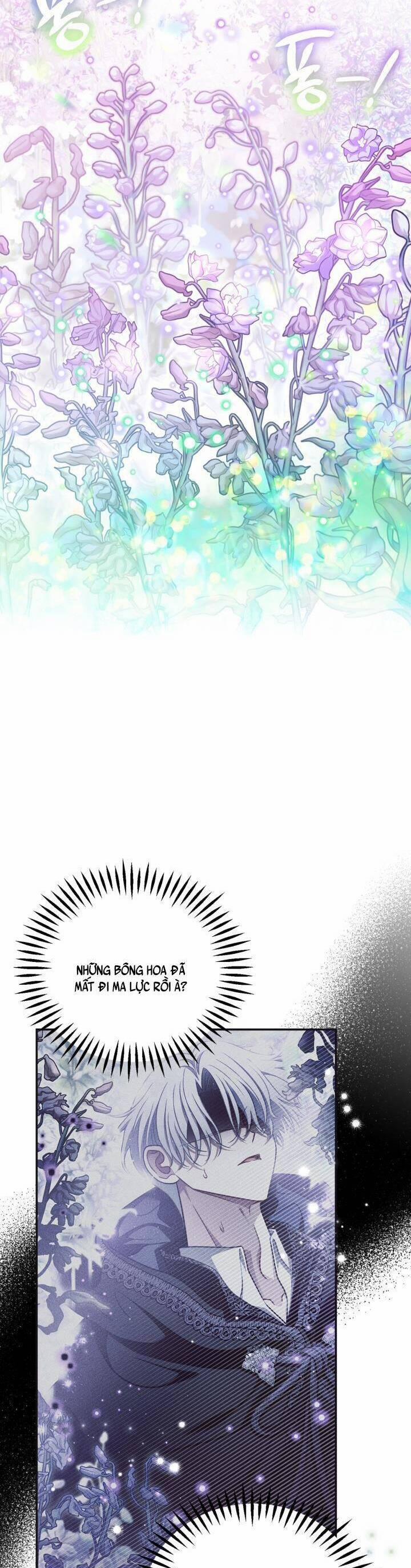 Trở Thành Người Giám Định Chất Độc Cho Thế Lực Hắc Ám 33 trang 19