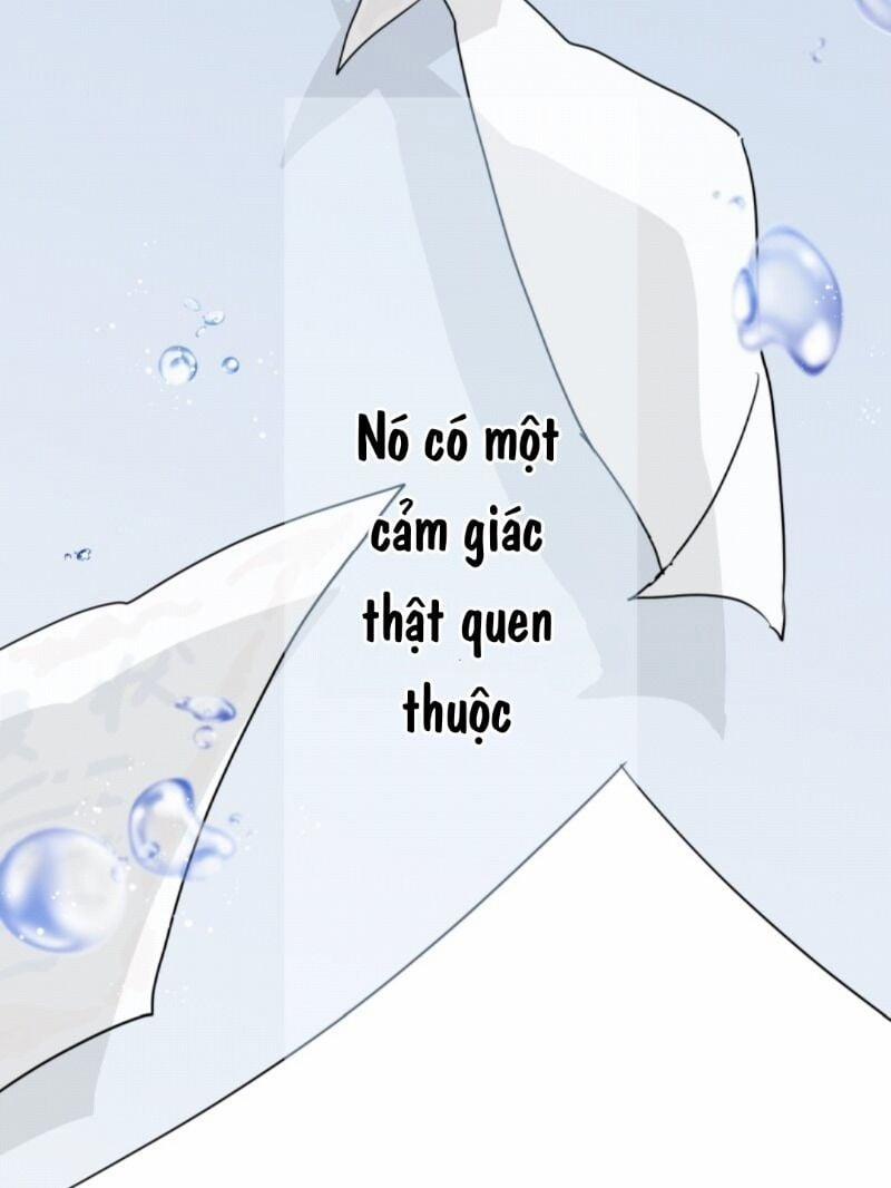 Trở Thành Nữ Kiếm Sĩ Hoàng Gia Ở Thế Giới Khác 1 trang 5