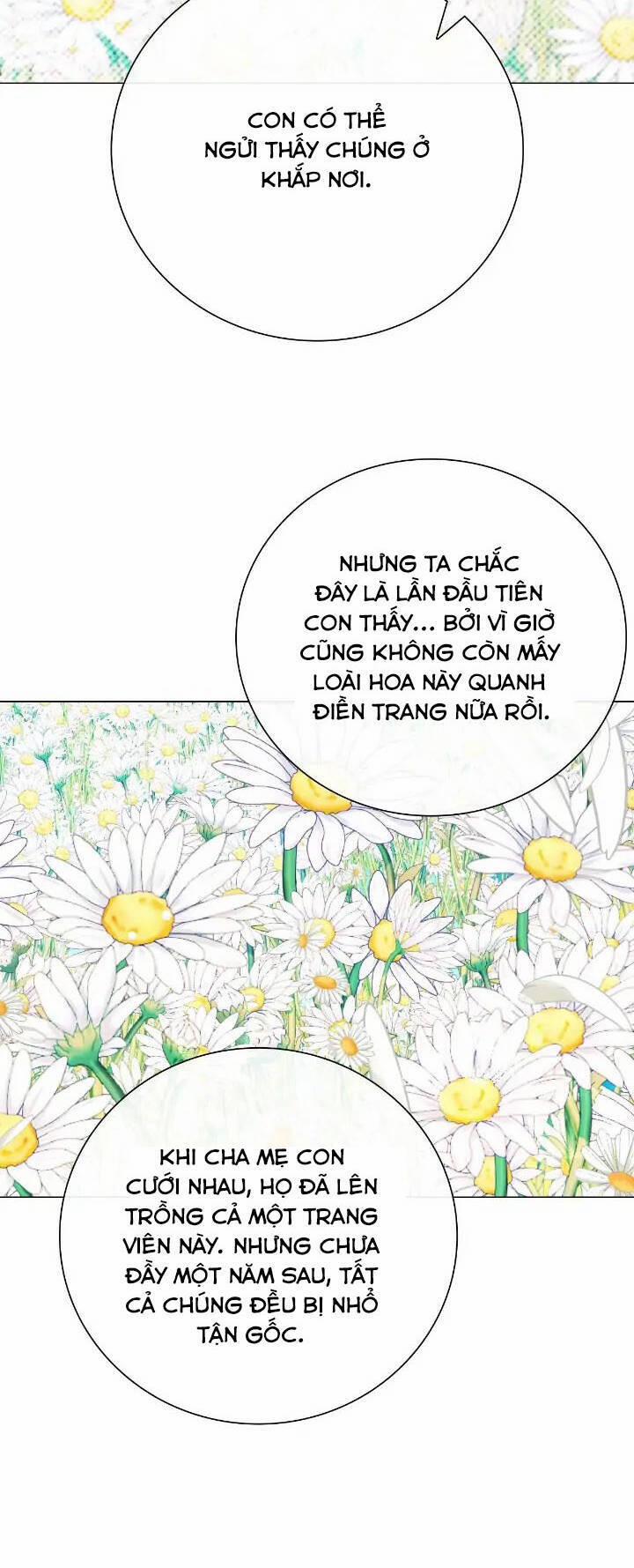 Trở Thành Tiểu Thư Xấu Xí 95 trang 38