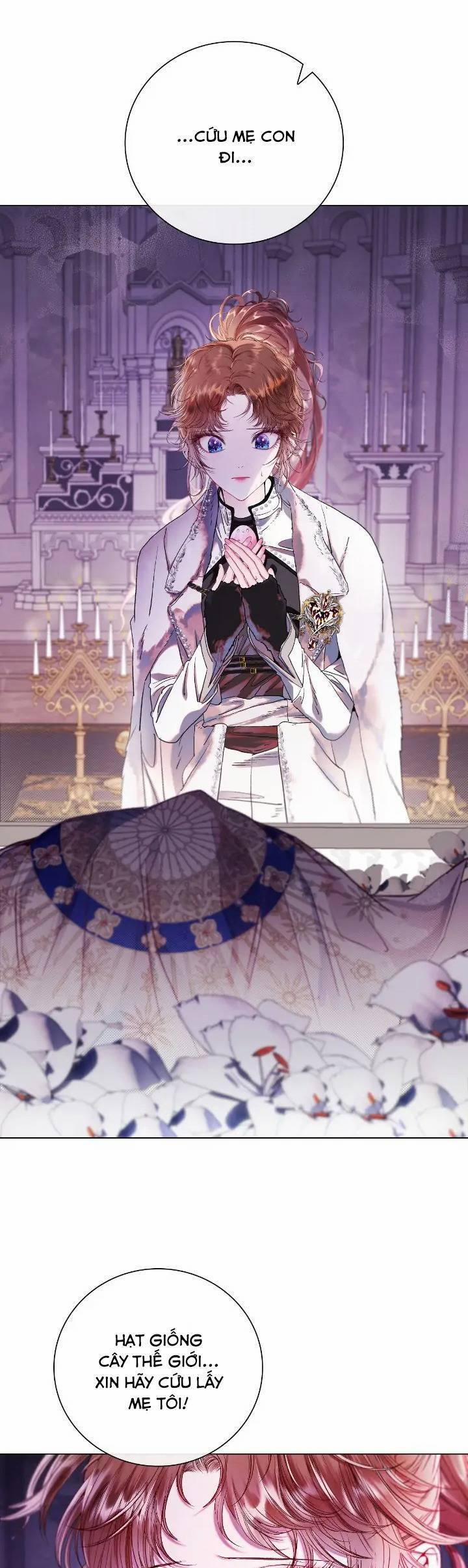 Trở Thành Tiểu Thư Xấu Xí 98 trang 24