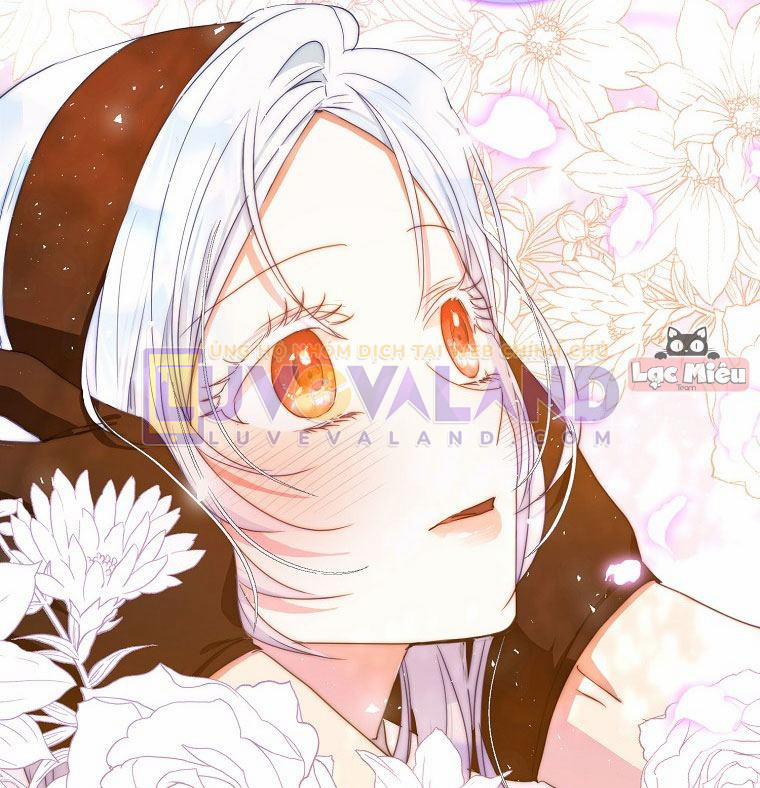 Trở Thành Vợ Của Nam Chính Tiểu Thuyết 44 trang 21