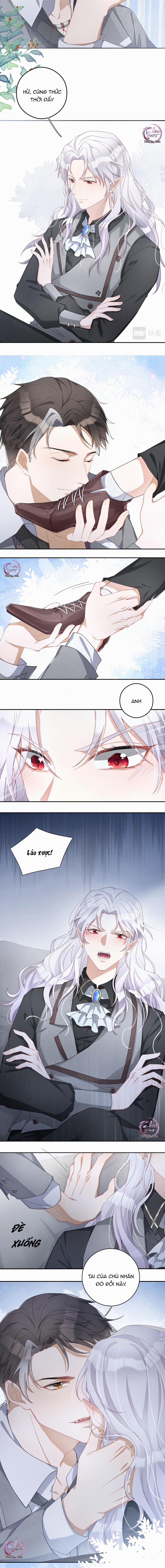 Trói Chặt Sói Của Tôi 1 trang 11