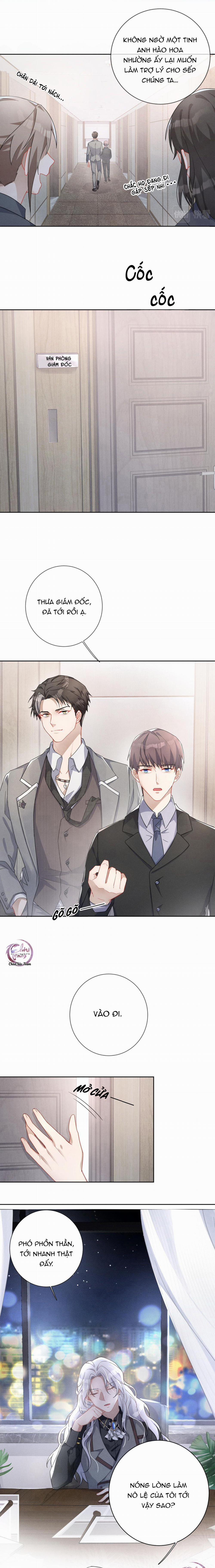 Trói Chặt Sói Của Tôi 1 trang 2