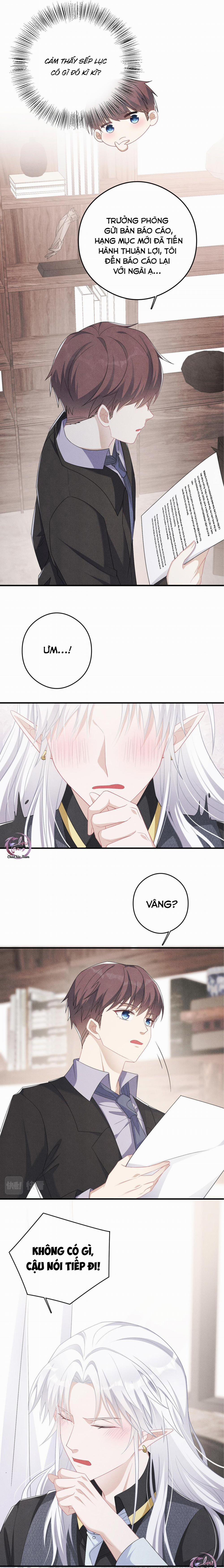 Trói Chặt Sói Của Tôi 10 trang 6