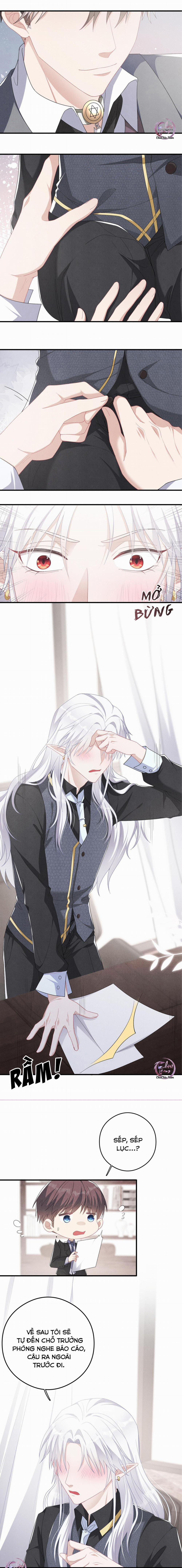 Trói Chặt Sói Của Tôi 10 trang 8