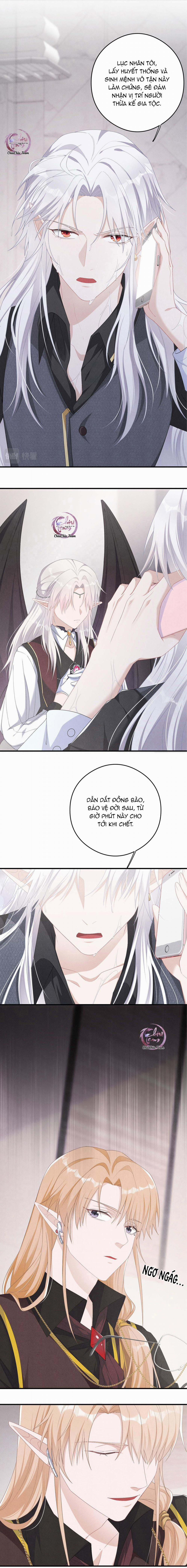 Trói Chặt Sói Của Tôi 12 trang 1