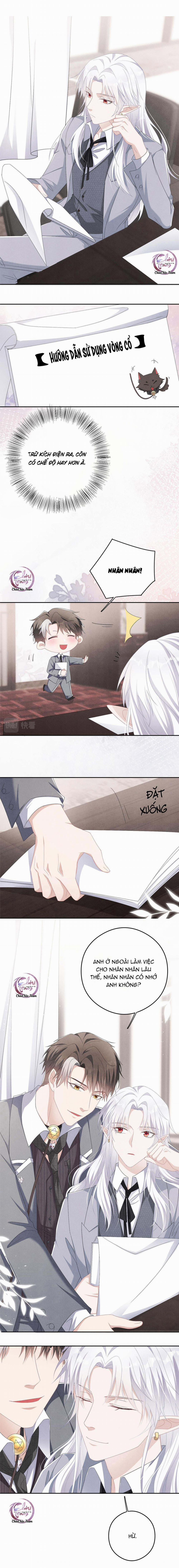 Trói Chặt Sói Của Tôi 12 trang 4