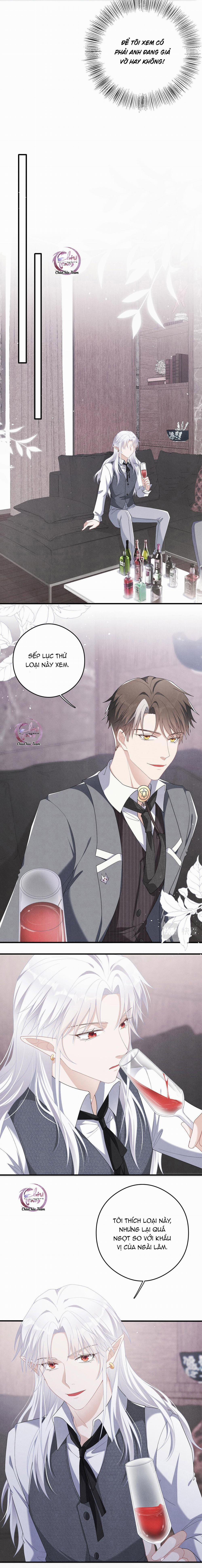 Trói Chặt Sói Của Tôi 13 trang 6