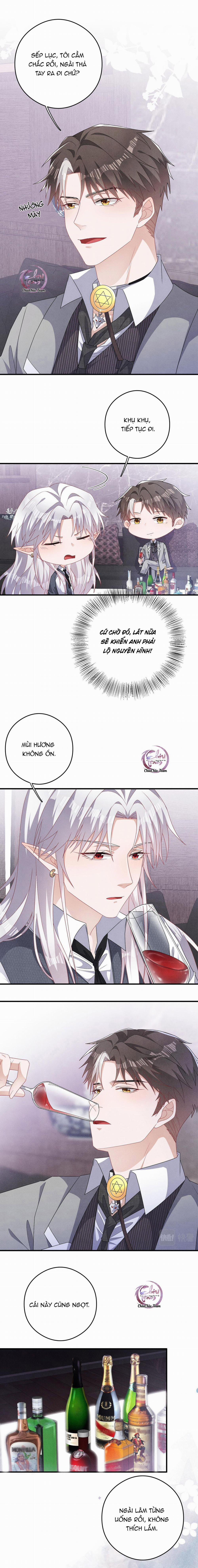 Trói Chặt Sói Của Tôi 13 trang 8