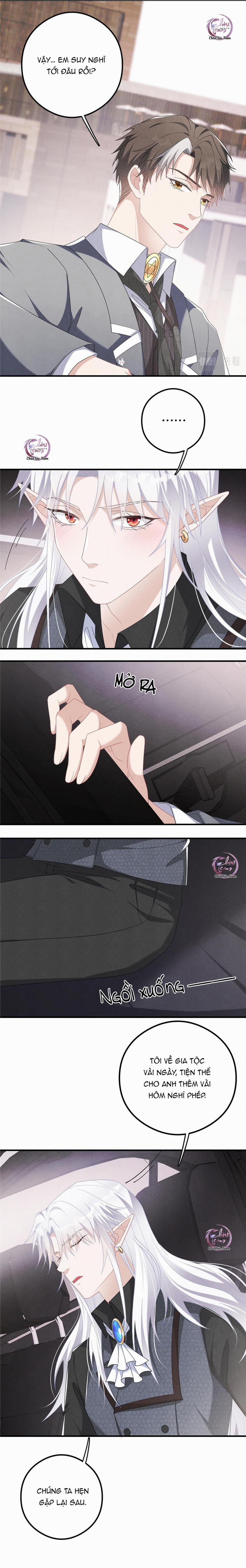 Trói Chặt Sói Của Tôi 16 trang 8