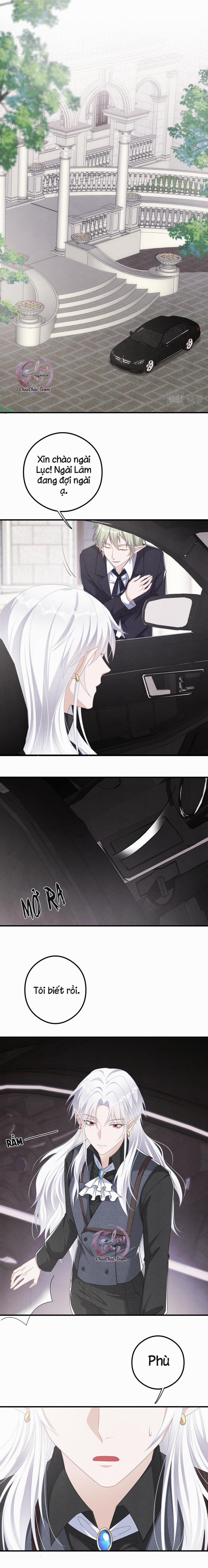 Trói Chặt Sói Của Tôi 17 trang 0