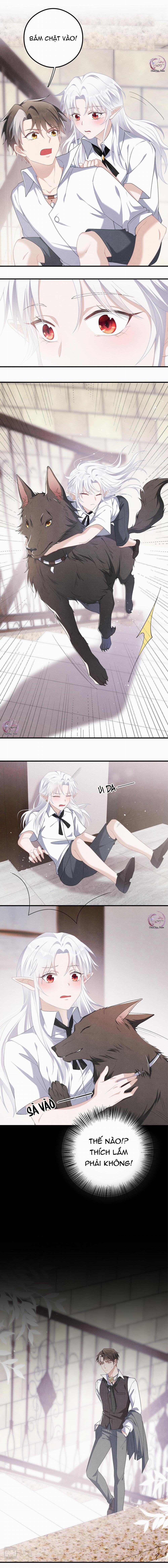 Trói Chặt Sói Của Tôi 19 trang 6