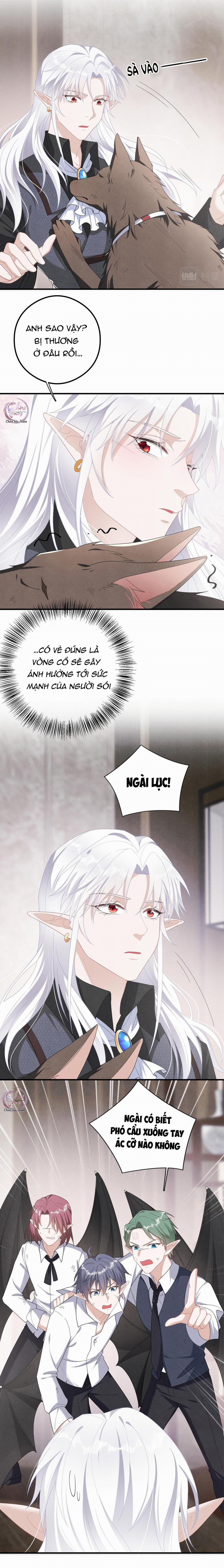 Trói Chặt Sói Của Tôi 19 trang 8