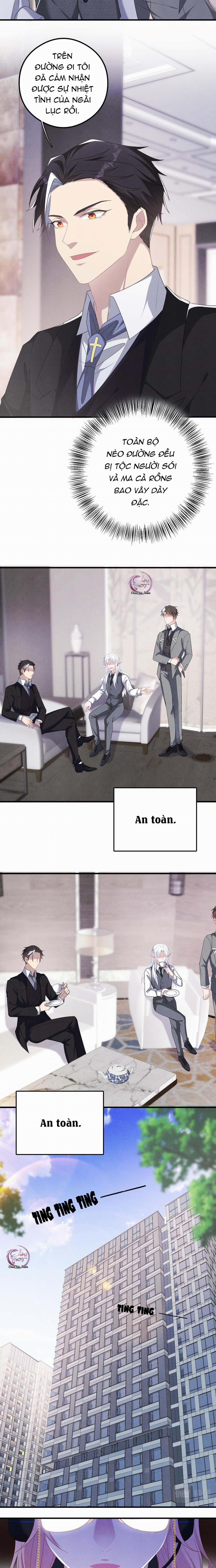 Trói Chặt Sói Của Tôi 26 trang 7