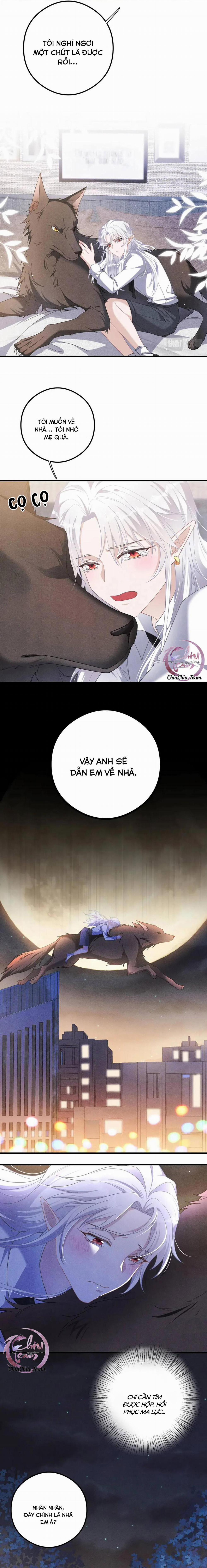 Trói Chặt Sói Của Tôi 28 trang 2