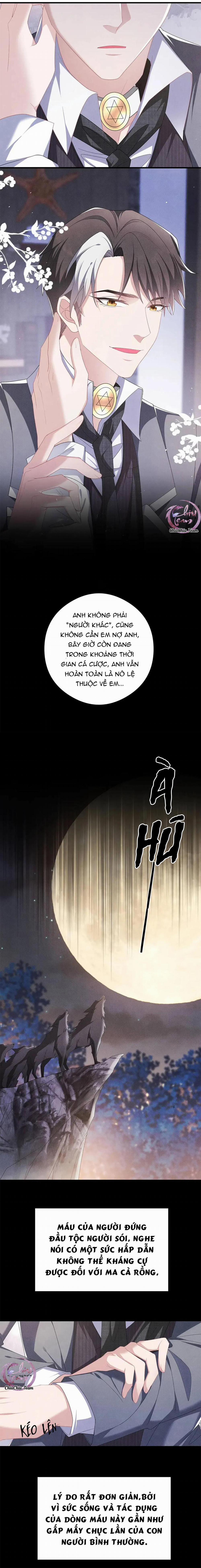 Trói Chặt Sói Của Tôi 29 trang 4