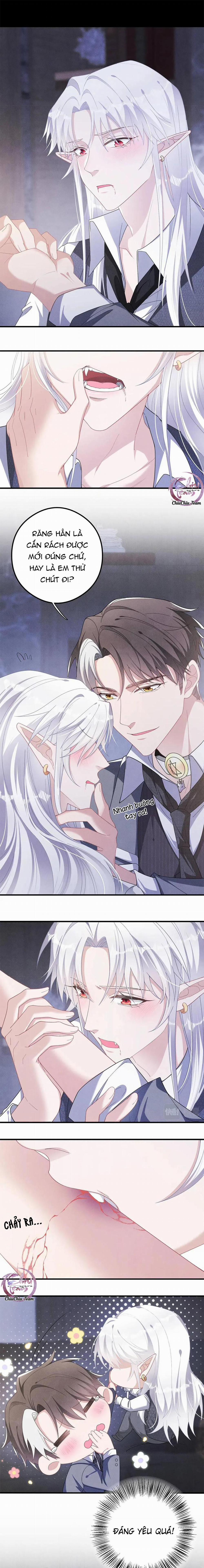 Trói Chặt Sói Của Tôi 29 trang 5