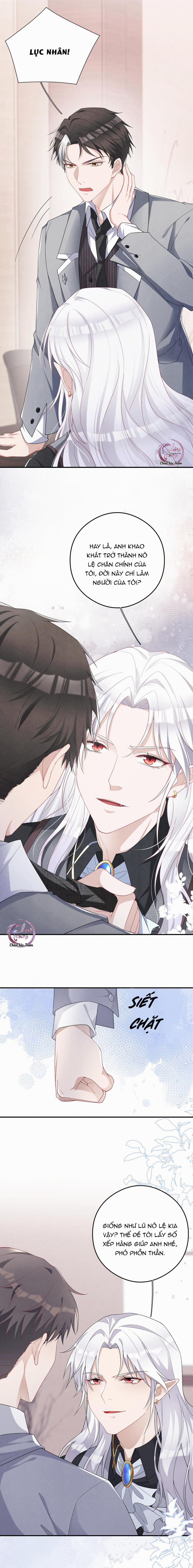 Trói Chặt Sói Của Tôi 3 trang 4