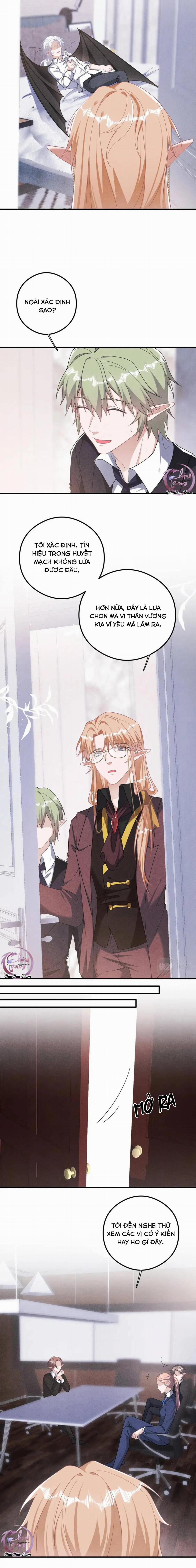 Trói Chặt Sói Của Tôi 33 trang 3