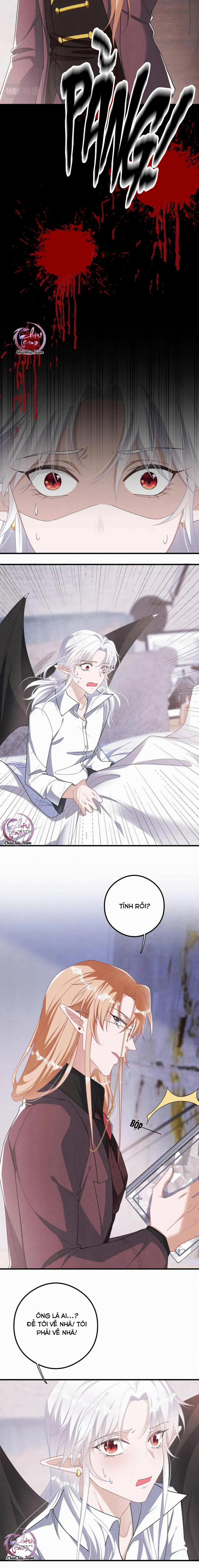 Trói Chặt Sói Của Tôi 33 trang 5