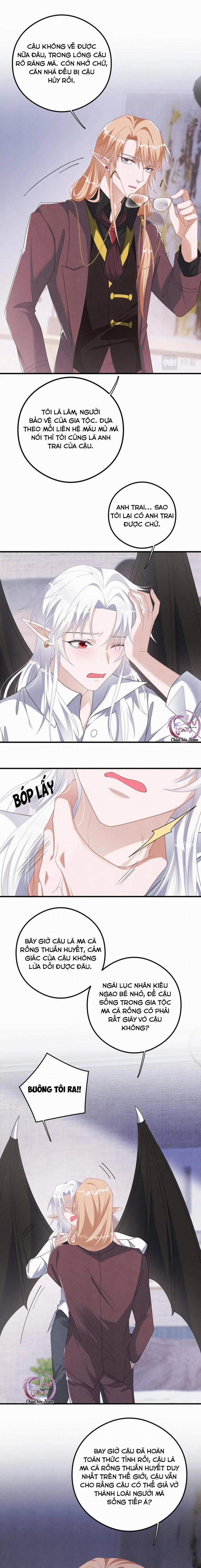 Trói Chặt Sói Của Tôi 33 trang 6