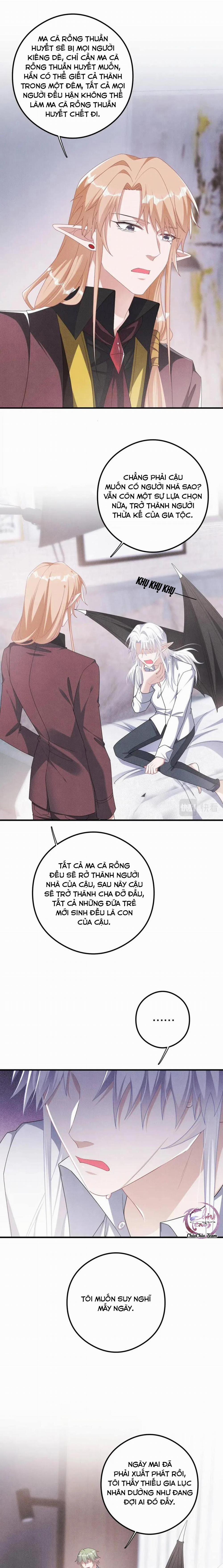 Trói Chặt Sói Của Tôi 33 trang 8