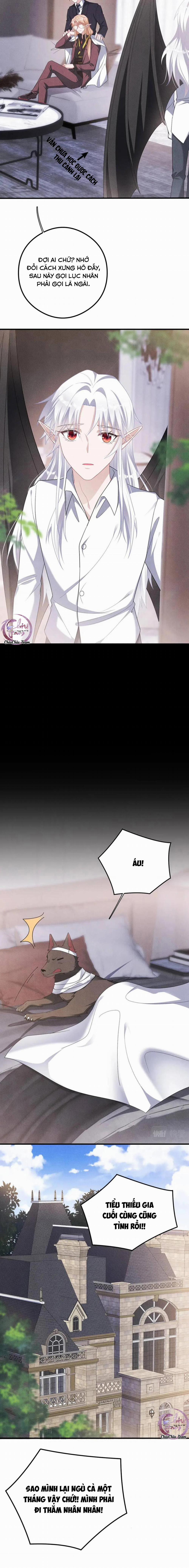 Trói Chặt Sói Của Tôi 33 trang 9