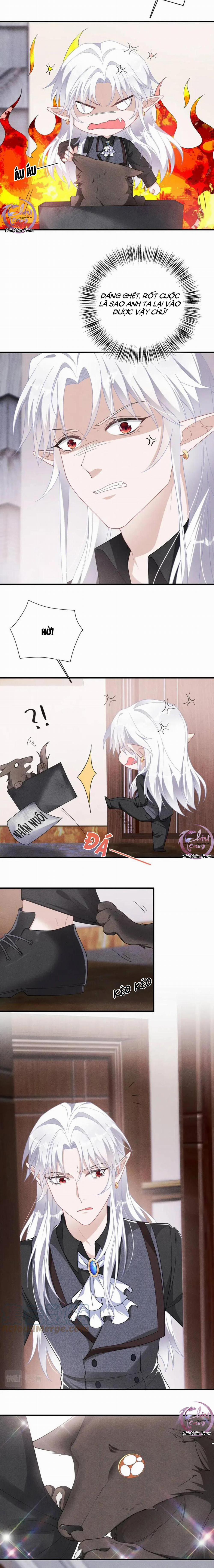 Trói Chặt Sói Của Tôi 35 trang 5