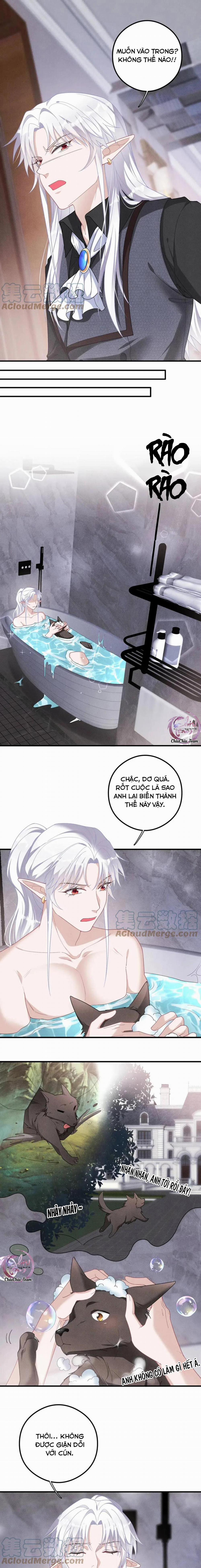 Trói Chặt Sói Của Tôi 35 trang 6