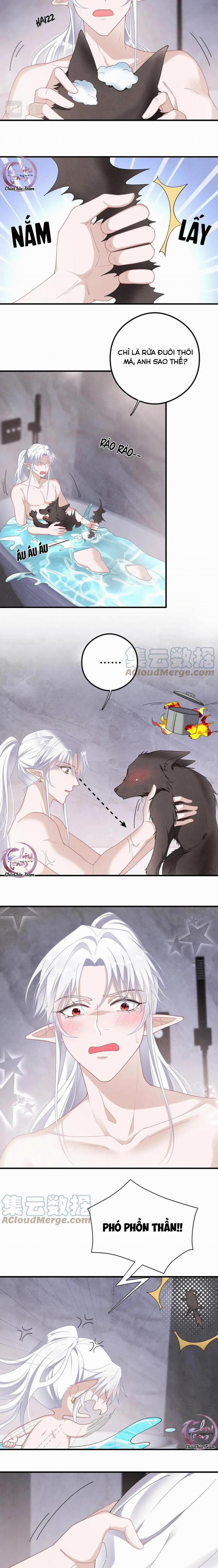 Trói Chặt Sói Của Tôi 35 trang 7