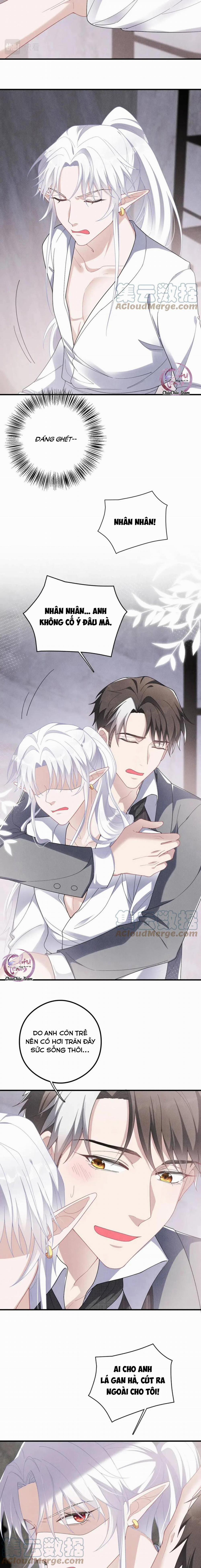 Trói Chặt Sói Của Tôi 35 trang 8