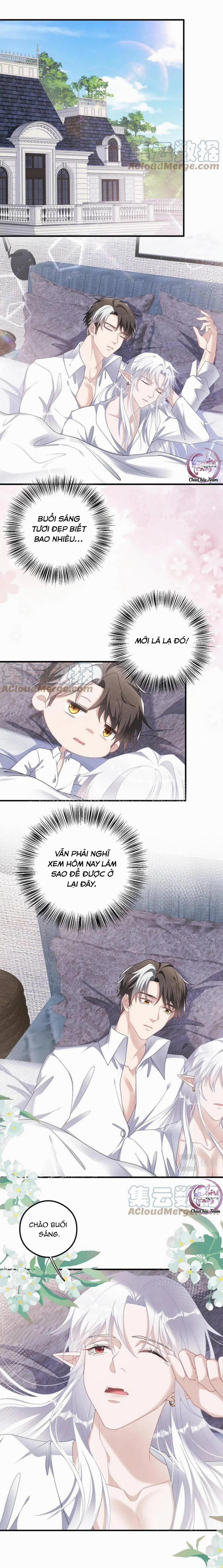 Trói Chặt Sói Của Tôi 37 trang 0