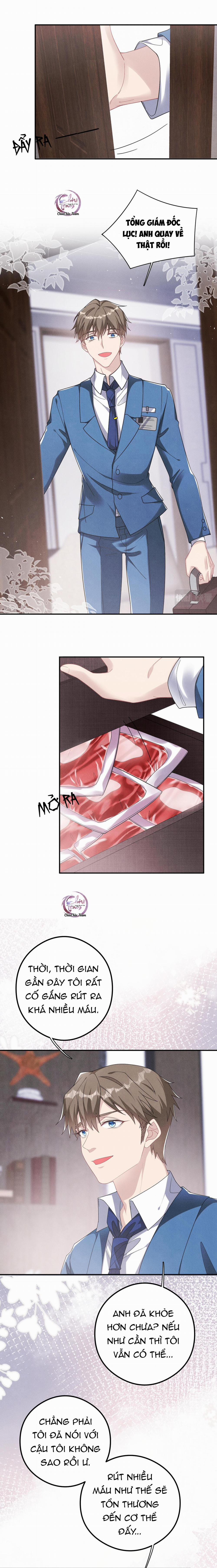 Trói Chặt Sói Của Tôi 40 trang 7