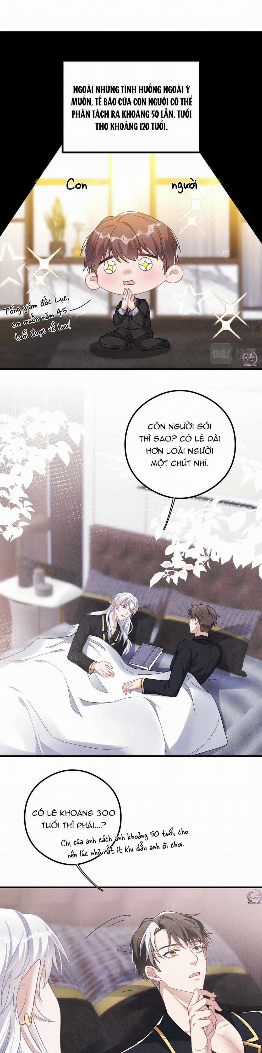 Trói Chặt Sói Của Tôi 45 trang 3